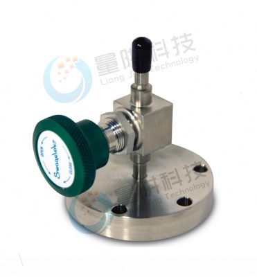 Swagelok Vent Valve