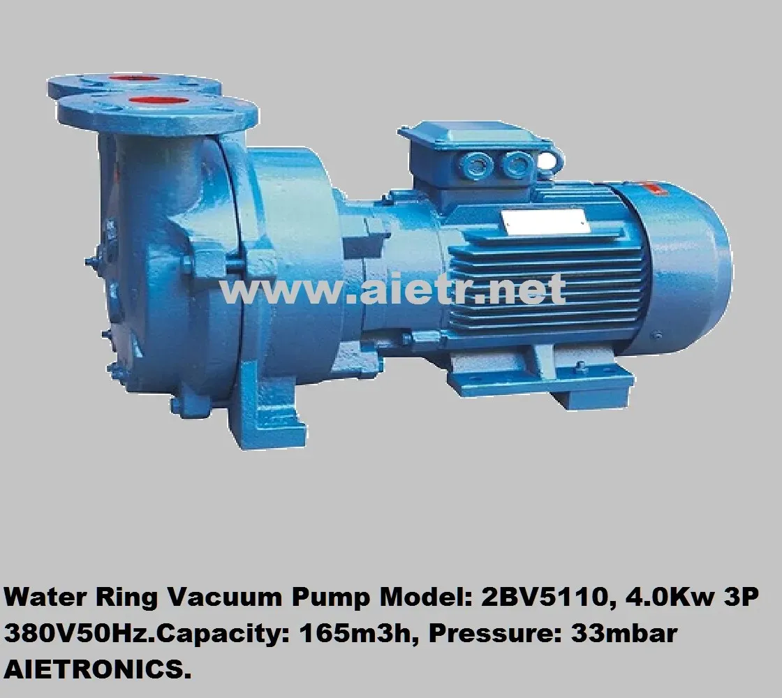 2BV5110